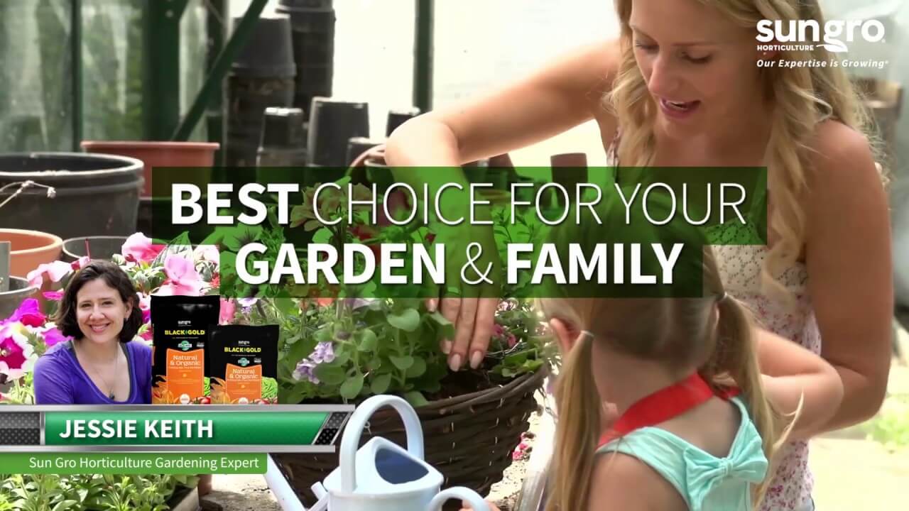 How to Grow Tomatoes in Containers